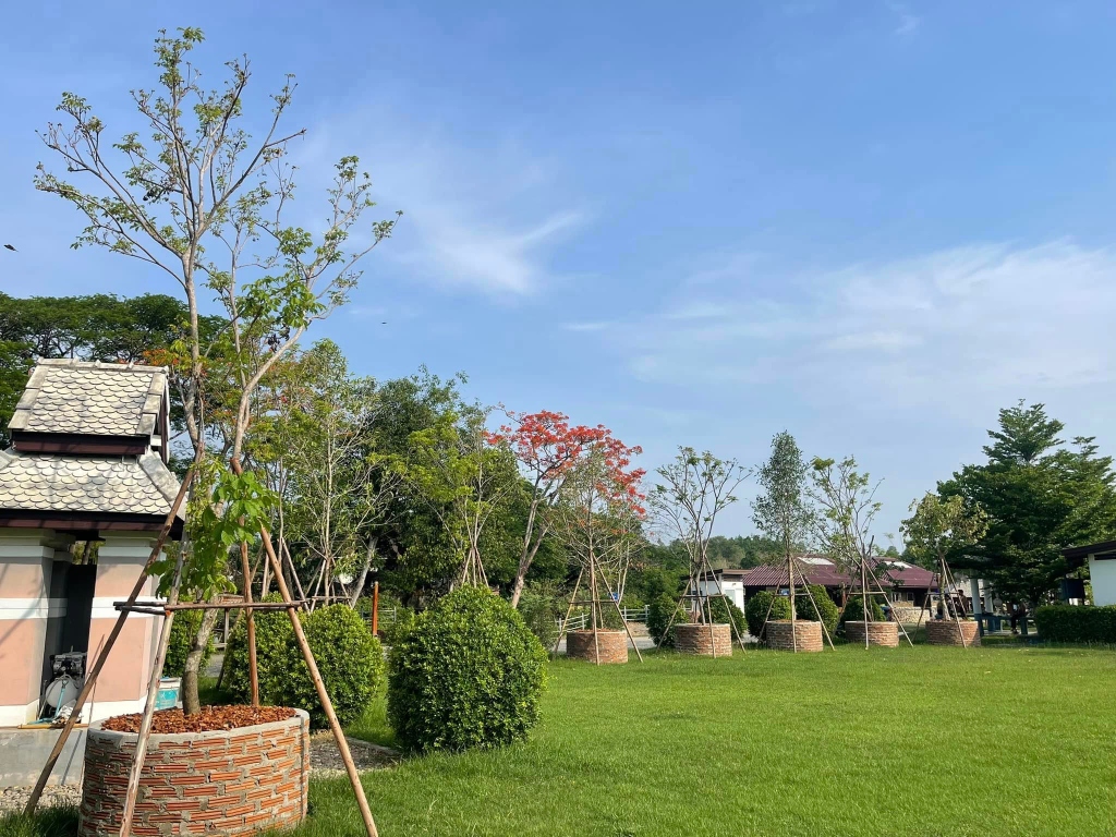 Wide, peaceful green lawn framed by trees and brick planters